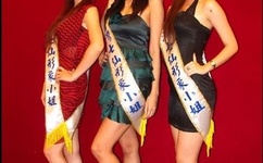 野鸭子第二部全集在线观看